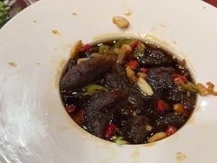 -邵年鸽(杨庄店)