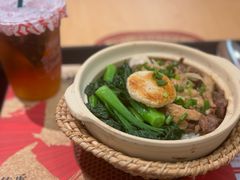 -华记煲仔华·煲仔饭(人和店)