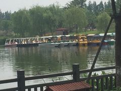 -上海长兴岛郊野公园