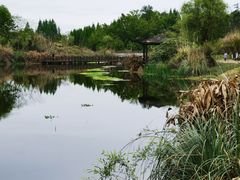 -桤木河湿地公园