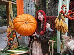 -河南宝泉旅游区
