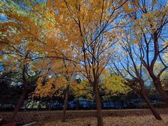 -元大都城垣遗址公园