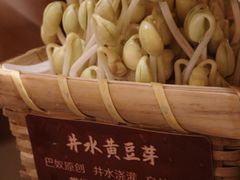 井水黄豆芽-巴奴毛肚火锅(王府井百货店)