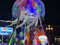 -海合安成都极地海洋公园