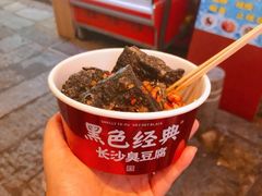 -黑色经典臭豆腐·湖南特产(坡子街特产局店)