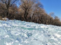 -长春市南湖公园