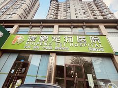 -瑞鹏宠物医院·内科·中兽医·骨科(苗圃店)