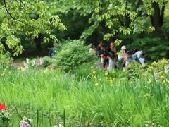 -上海共青森林公园