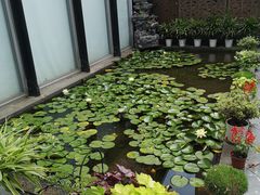 -陈家山荷花公园