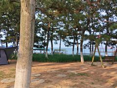 -悦海公园