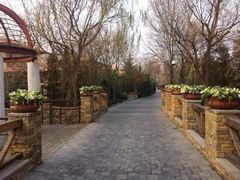 iphone_upload_pic-芭东小镇温泉
