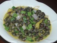 青椒炒螺丝-农耕记·湖南土菜(halo广场店)