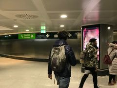 -米兰马尔彭萨国际机场