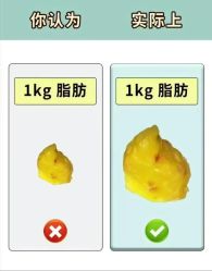 -香薇妮丝·定制减肥·身材管理