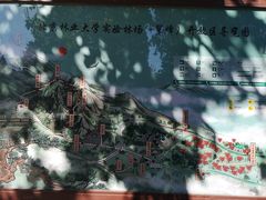 -北京鹫峰国家森林公园