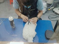 -瑞鹏宠物医院·骨科·猫科·内科(第一中心)