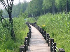 -太湖湖滨国家湿地公园-停车场
