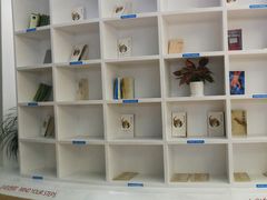 -长沙黄花国际机场-T1航站楼