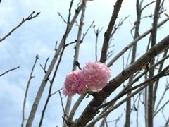 -马峦山郊野公园