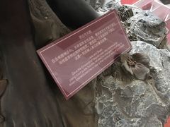 -武汉达临性学生命文化博物馆