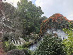 -乌山风景区