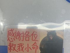 -北京派仕佳德动物医院·超导核磁·CT·神经科·骨科·内外科·急重症管理中心
