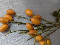 -百果园PAGODA(中铭豪园店)