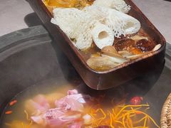 -芸山季·云南野生菌火锅(宝能环球汇店)