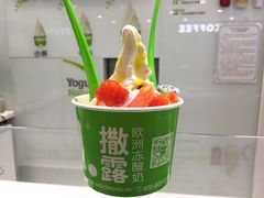 -Salud撒露欧洲冻酸奶(蓝色港湾店)