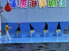 -蓬莱欧乐堡海洋极地世界