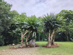 -中国科学院西双版纳热带植物园