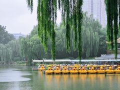 -皇家御河游(紫御湾码头)
