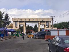 -东北农业大学