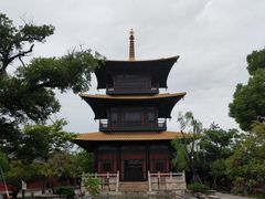 -广富林郊野公园