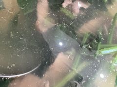 -川渝美食·烤鱼(背阴胡同店)