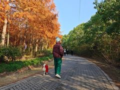 -上海海湾国家森林公园