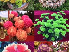 -华南国家植物园-售票处