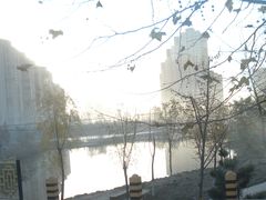 景点-前关湿地公园