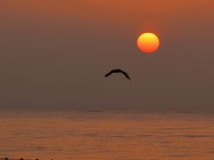 -北戴河东海水浴场