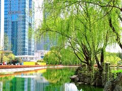-陆家嘴中心绿地