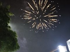 -一芳陈家台湾水果茶