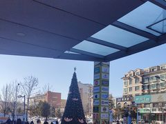 -高新活力汇Vitality