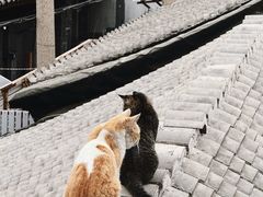 -前叁門