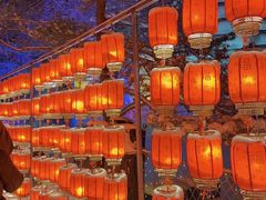 -长影世纪城