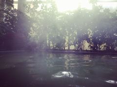 -仁爱团泊湖温泉中心