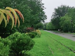 -永定河休闲森林公园