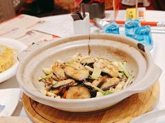 -新雅粤菜馆(南京东路店)