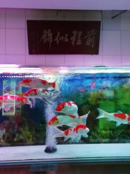 点击看大图 -南来顺饭庄·宴会厅(南菜园店)
