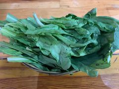 茼蒿-范贤光鸡公煲(平乐园总店)