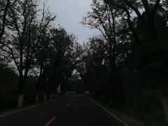 -康陵正德春饼宴26号